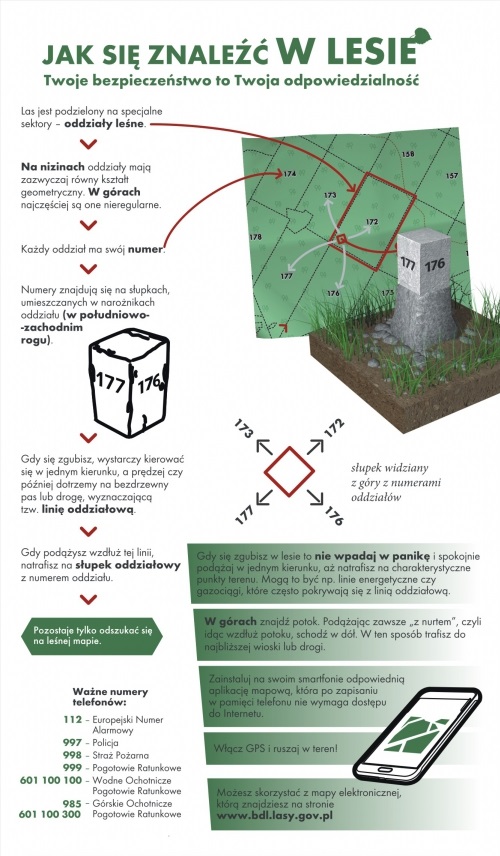 Jak się odznaleźć w lesie i się nie zgubić. 