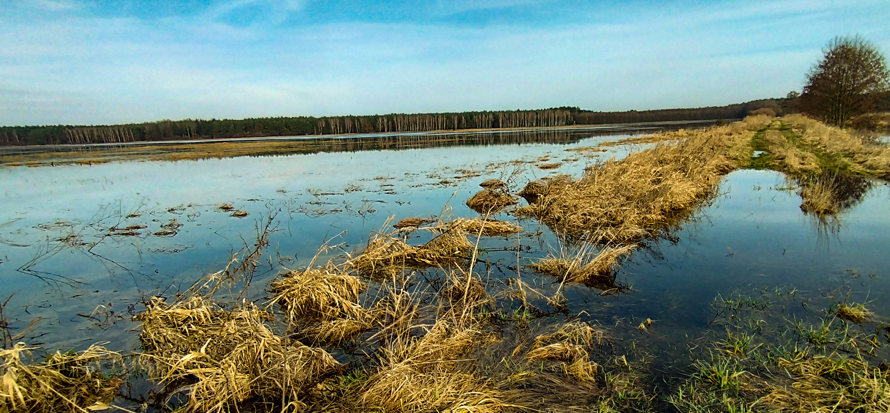 III miejsce w konkursie, fot. P. Gnitecki tytuł. "Sułowskie jezioro"