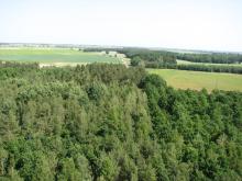Konsultacje Krajowego Standardu Gospodarki Leśnej FSC