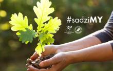 Posadź drzewo z prezydentem RP - zapraszamy po sadzonkę