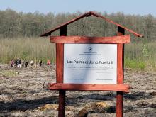 Las Pamięci Jana Pawła II już rośnie