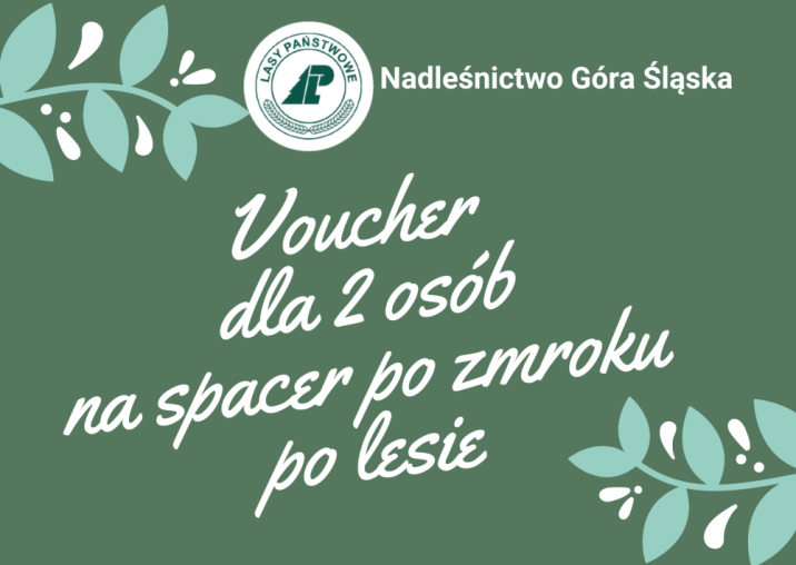 Voucher&#x20;wystawiony&#x20;na&#x20;licytację&#x20;WOŚP